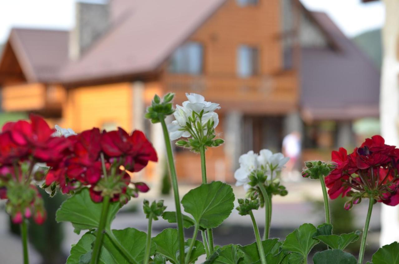 Hotel Sribni Rosy Mikuliczyn Zewnętrze zdjęcie